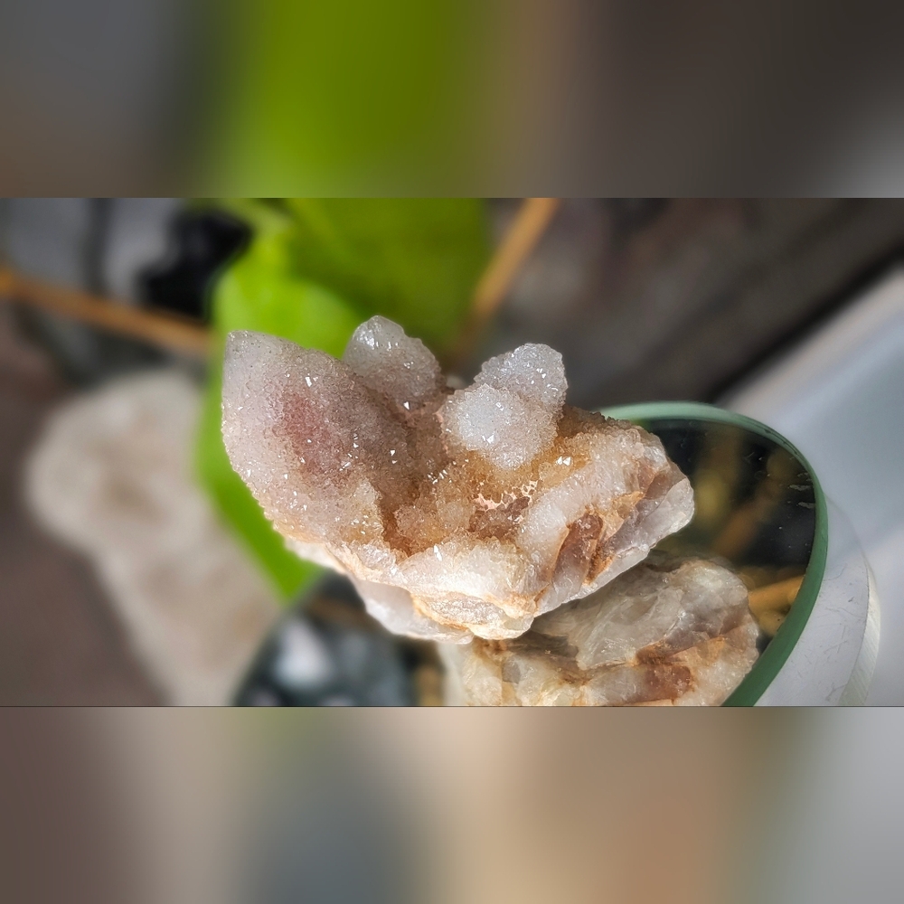 Spirit Cactus Quartz Crystal Cluster